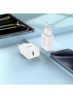 CARREGADOR 2.1A MICRO USB (LU202)